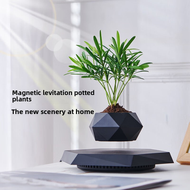 Magnetic levitation potted plant