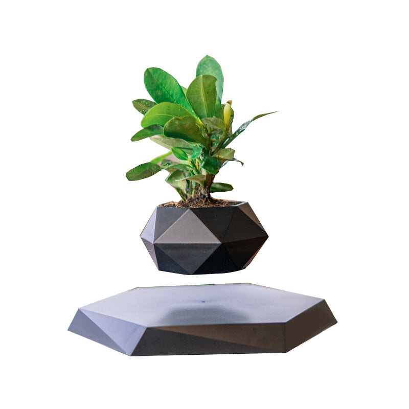 Magnetic levitation potted plant