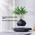 Magnetic levitation potted plant