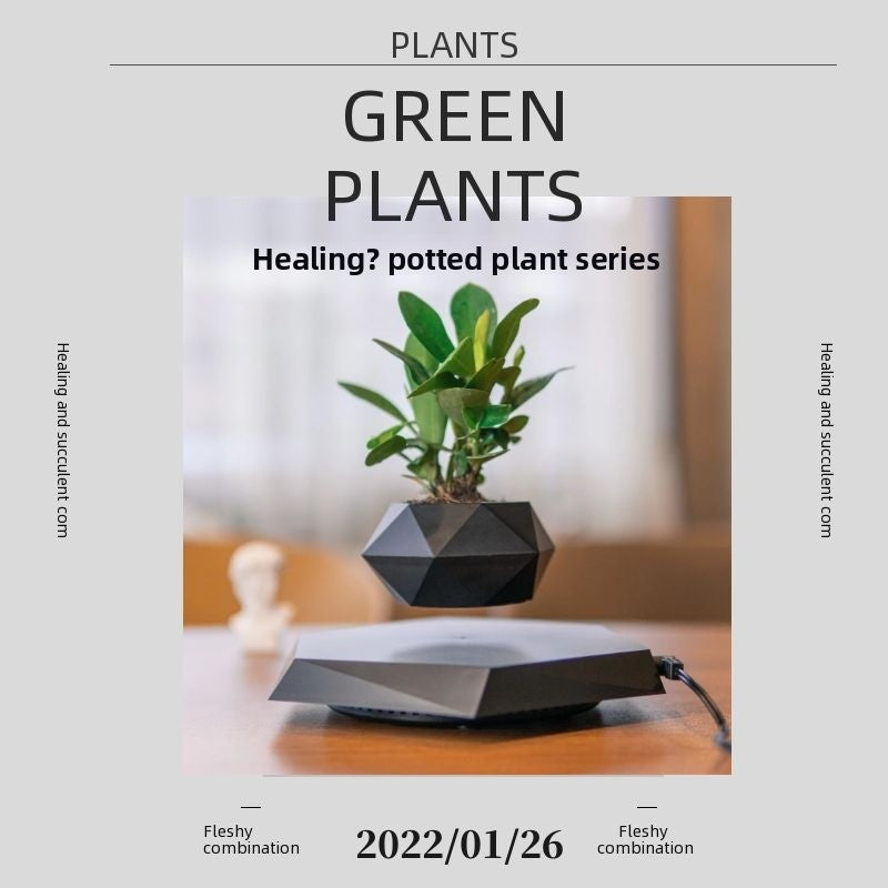 Magnetic levitation potted plant