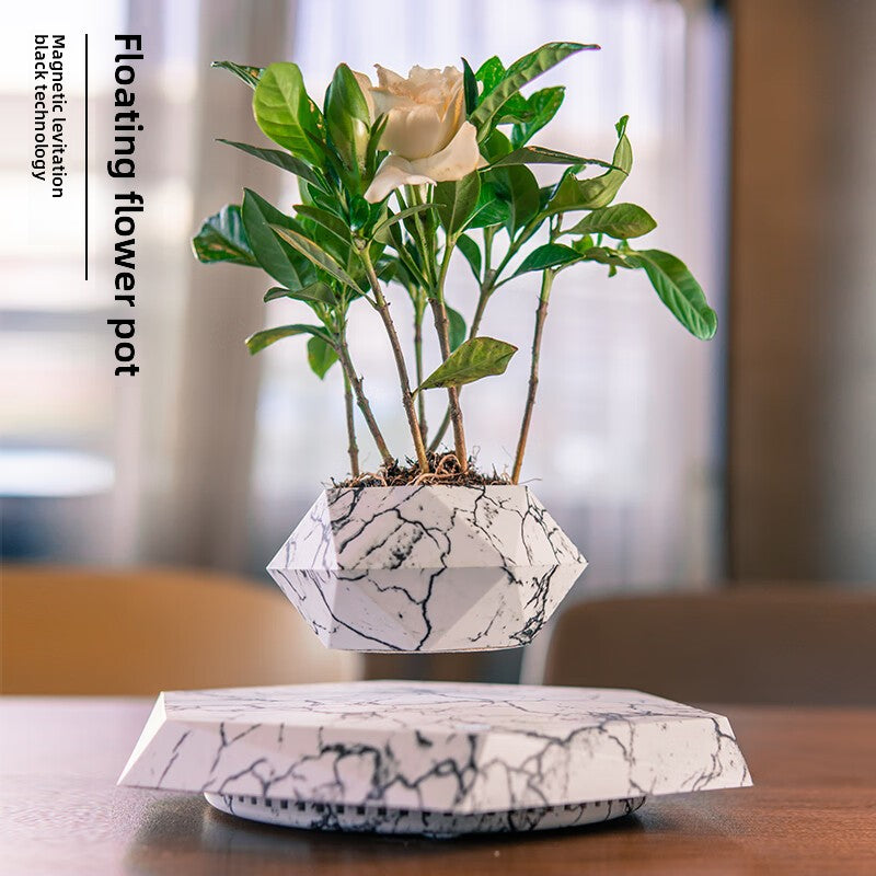 Magnetic levitation potted plant