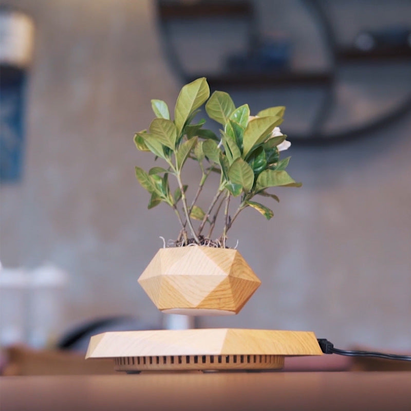 Magnetic levitation potted plant